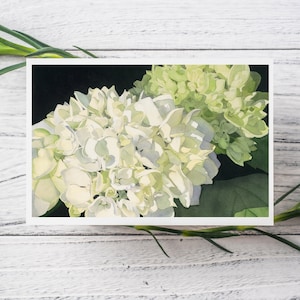 White Hydrangea Watercolor greeting card with two clusters of white and pale green hydrangea on a field of black.