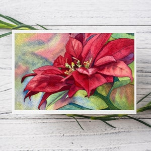 Red Poinsettia Watercolor Print Card, blank holiday greeting card image 1