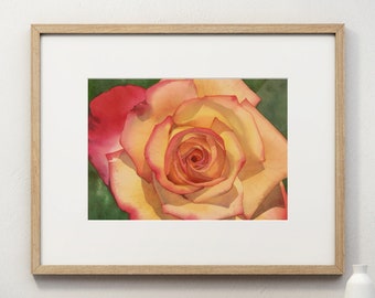 Pink and Yellow Rose Watercolor Print by Erika McCoy, 8x10 matted landscape art print, floral, botanical, wall decor, painting,  flower