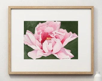 Pink Peony 8x10 Watercolor Print, matted for framing