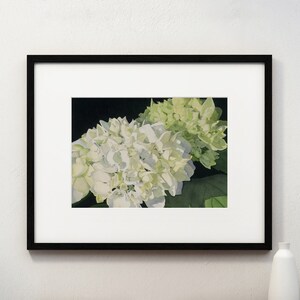 Hydrangea Watercolor Print by Erika McCoy, 8x10 matted landscape art print, floral, botanical, flower, hydrangea, painting, white, green