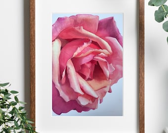 Rose Watercolor Print by Erika McCoy, 8x10 matted