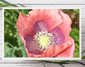 Poppy Watercolor Print Card, blank botanical greeting card, flower