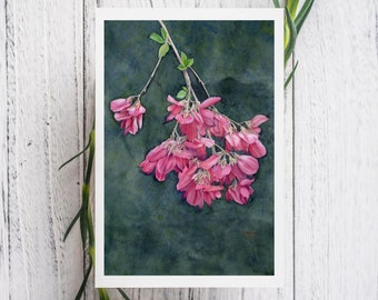 Sweet Pea Bush Watercolor Print Card, blank botanical greeting card, pink flowers