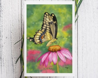 Echinacea Luncheon Watercolor Print Card, blank greeting card, butterfly greeting card