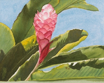 Hawaii Rosa Ingefära Akvarell Konsttryck, 8x10 botanisk gicléeväggdekor, tropisk, blommig, blomma, strand