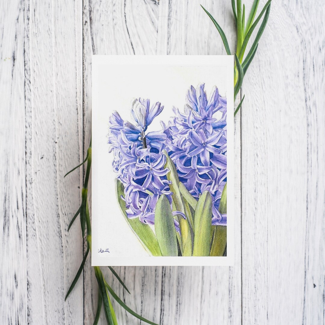 Hyacinth Watercolor Print Card, Blank Botanical Greeting Card - Etsy