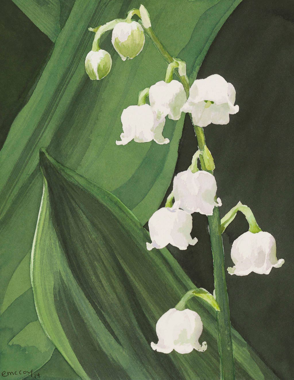 Lily of the Valley Watercolor Print by Erika Mccoy, 8x10 Matted