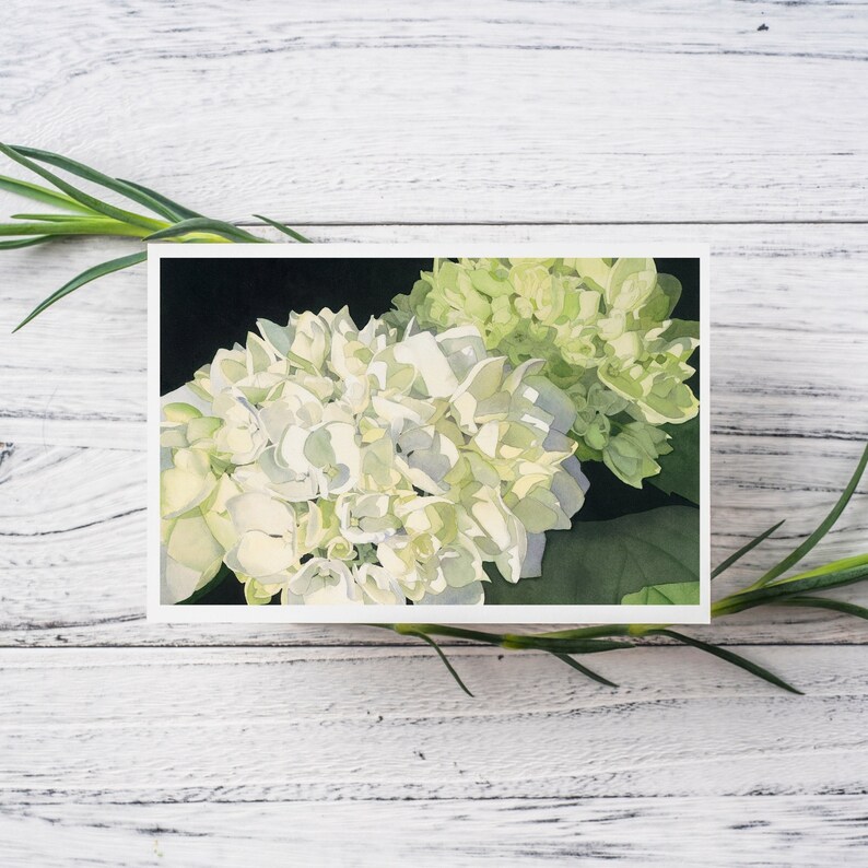 White Hydrangea Watercolor greeting card with two clusters of white and pale green hydrangea on a field of black.