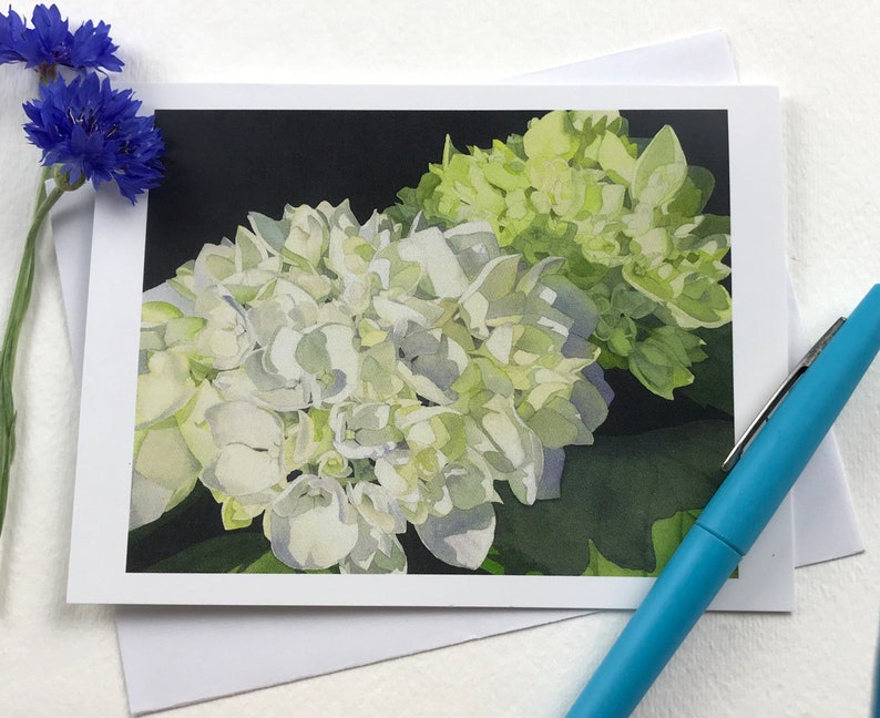 White Hydrangea Watercolor greeting card with two clusters of white and pale green hydrangea on a field of black.