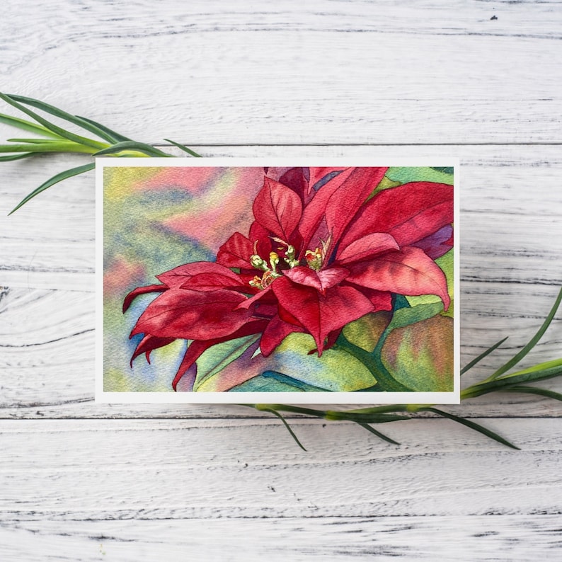 Red Poinsettia Watercolor Print Card, blank holiday greeting card image 1