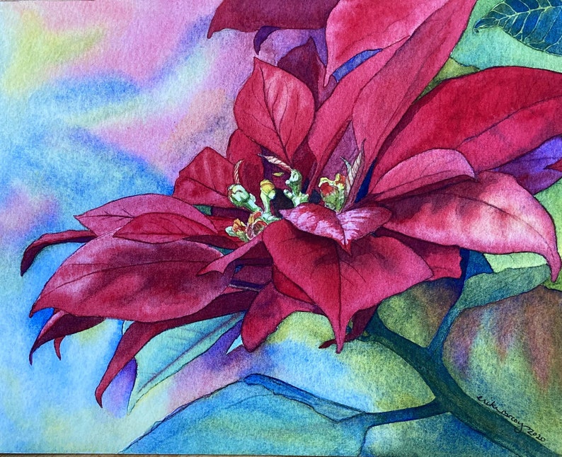 Red Poinsettia Watercolor Print Card, blank holiday greeting card image 4