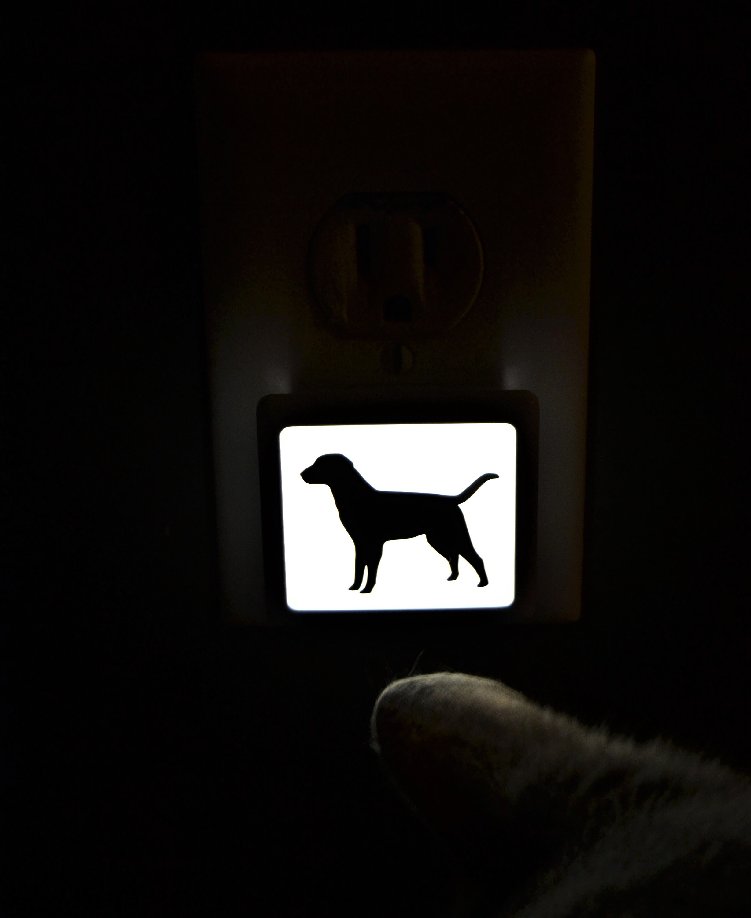 Dog Black Lab Night Light Etsy