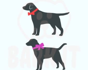 Labrador Retriever Dog SVG, PDF, PNG, eps, Digital Download Cut File for decal tshirt Black Lab Yellow Lab Chocolate Lab