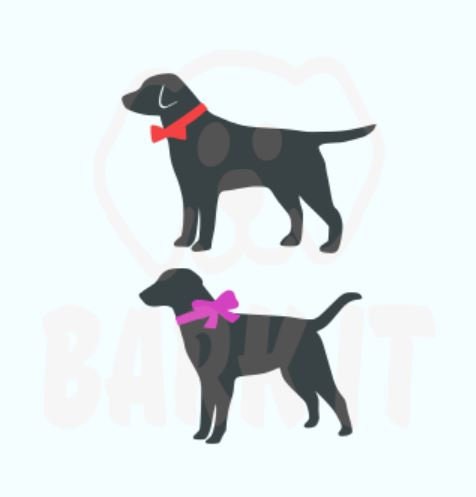 Download Labrador Retriever Dog Svg Pdf Png Eps Digital Download Cut File For Decal Tshirt Black Lab Yellow Lab Chocolate Lab