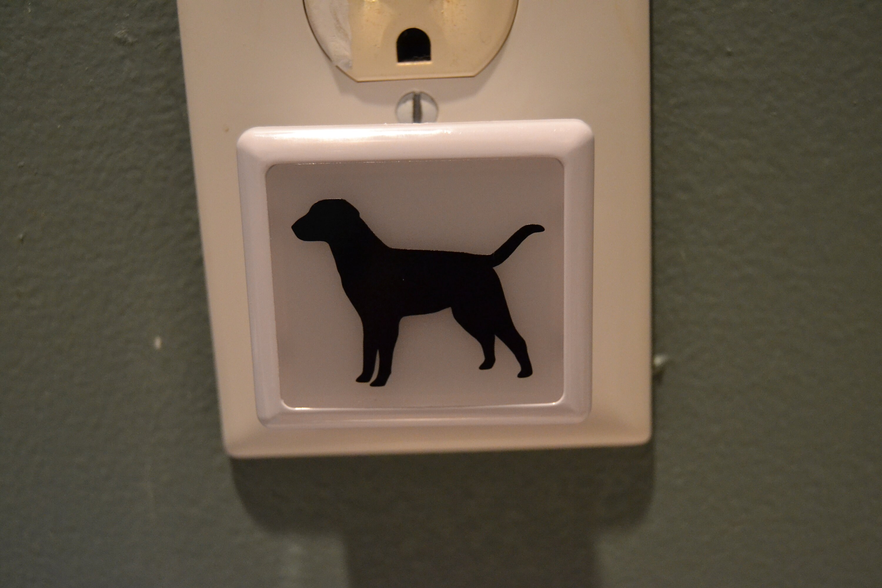Dog Black Lab Night Light Etsy
