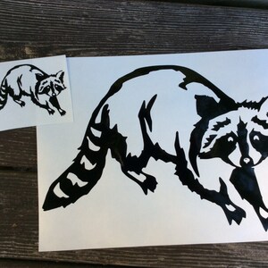 Raccoon Decal