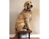 plant stand, mid century, modern, stand, mid century modern, planter, indoor plant stand, vintage plant stand, outdoor plant stand, wood