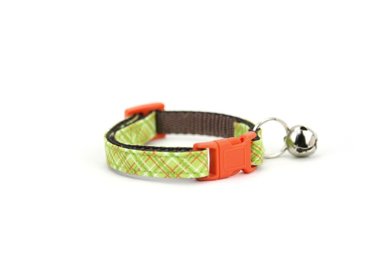 May include: A green and orange patterned cat collar with a brown adjustable strap and a silver bell.