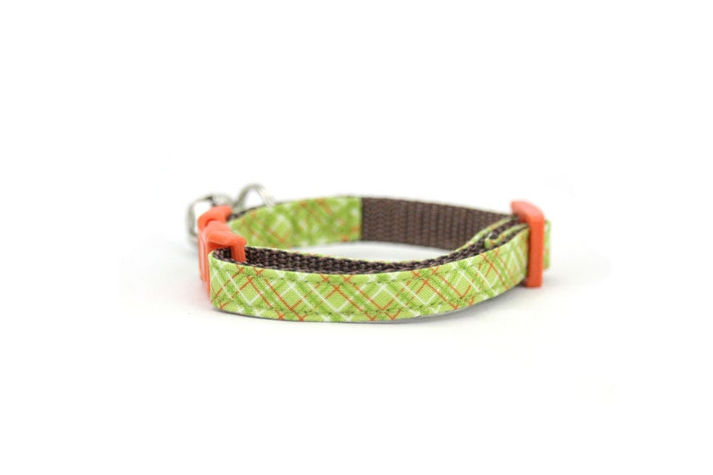 May include: A green and orange plaid dog collar with brown webbing and orange plastic buckles.