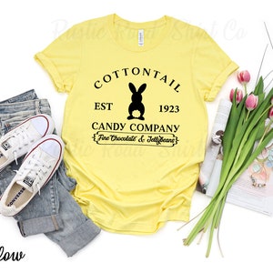 Easter T-shirt, Women&#39;s Easter Shirt, Matching Family Easter Shirts, Happy Easter Shirt, He is Risen Shirt