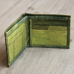 Cartera de hojas laminadas en color verde, plegada una vez.
