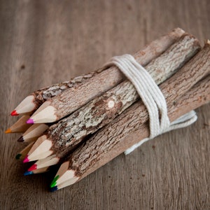 Color pencil set from recycelt twigs