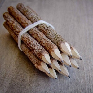 Wooden pencil set – handmade from recycled twigs, set of 10