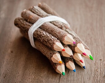 Color pencil set from recycelt twigs