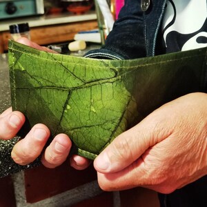 Portefeuille composé de feuilles plastifiées vertes, pliées une fois