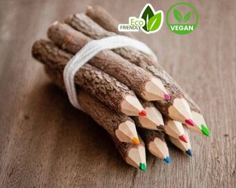 Color pencil set from recycelt twigs