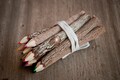 Multi Coloured recycelt Twig Pencils - Set of 10 handcrafted wooden pencils : DDP USA