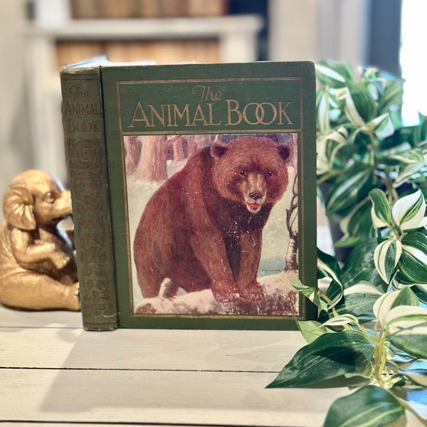 The Animal Book, illustrated, collectible, rare, children, outdoors, nature, gift idea, home library