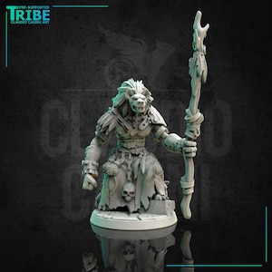 Peut inclure: Une figurine miniature grise et détaillée d'une créature ressemblant à un lion tenant un bâton avec des plumes. La créature porte une robe et a un crâne à sa ceinture. La miniature est sur une base ronde.