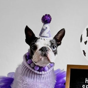 Pet Party Hat | Mini Cat Birthday Party Hat | Mini Cat Party Hat | Dog Birthday Hat | Dog Party Hat | The Pawty Animals | Choose Color