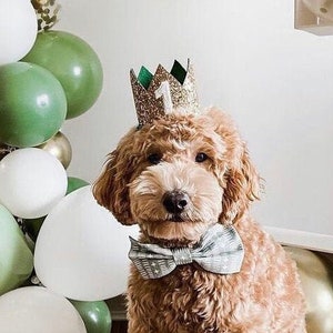 Dog Birthday Crown Pet Birthday Crown Dog Crown Pet Crown Dog Party Hat Dog Birthday Party Crown Any Age Gold and Choose Color image 1