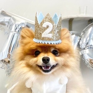 Dog Birthday Crown | Pet Birthday Crown | Dog Crown | Pet Crown Dog Party Hat | Dog Birthday Party Crown | Any Age | Gold and Choose Color