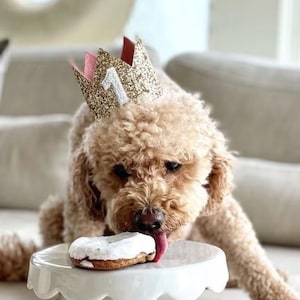 Dog Birthday Crown | Pet Birthday Crown | Dog Crown | Pet Crown Dog Party Hat | Dog Birthday Party Crown | Any Age | Gold and Choose Color