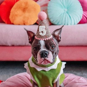 Pet Party Hat | Dog Birthday Party Hat | Dog Party Hat | Dog Birthday Hat | Cat Party Hat | The Pawty Animals | Gold Blush