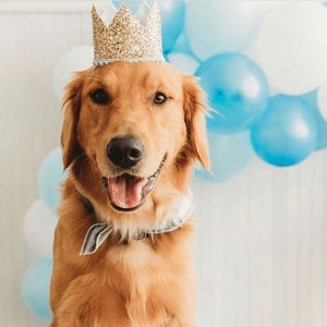 Dog Birthday Crown | Pet Birthday Crown | Dog Crown | Pet Crown Dog Party Hat | Dog Birthday Party Crown | Any Age | Gold and Choose Color