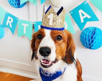 Dog Birthday Crown | Pet Birthday Crown | Dog Crown | Pet Crown Dog Party Hat | Dog Birthday Party Crown | Any Age | Gold and Choose Color