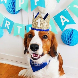 Dog Birthday Crown | Pet Birthday Crown | Dog Crown | Pet Crown Dog Party Hat | Dog Birthday Party Crown | Any Age | Gold and Choose Color