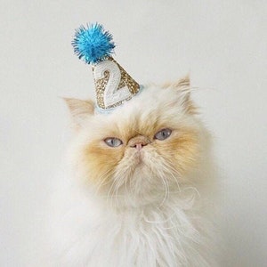 Pet Party Hat | Mini Cat Birthday Party Hat | Mini Cat Party Hat | Dog Birthday Hat | Dog Party Hat | The Pawty Animals | Gold Blue