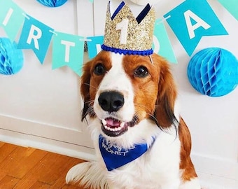 Dog Birthday Crown | Pet Crown Any Age | Gold and Choose Color