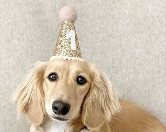 Dog birthday hats petsmart cheap