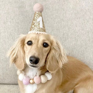 Pet Party Hat | Dog Birthday Party Hat | Dog Party Hat | Dog Birthday Hat | Cat Party Hat | The Pawty Animals | Gold Baby Pink