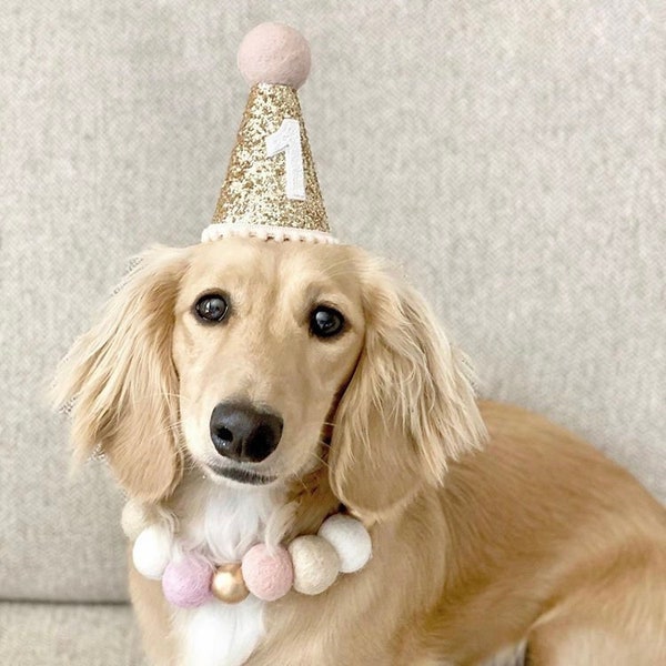 Pet Party Hat | Dog Birthday Party Hat | Dog Party Hat | Dog Birthday Hat | Cat Party Hat | The Pawty Animals | Gold Baby Pink