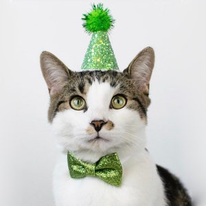 Pet Party Hat | Mini Cat Birthday Party Hat | Mini Cat Party Hat | Dog Birthday Hat | Dog Party Hat | The Pawty Animals | Lime Green