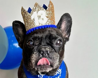 Dog Birthday Crown | Pet Birthday Crown | Dog Crown | Pet Crown Dog Party Hat | Dog Birthday Party Crown | Any Age | Gold and Choose Color