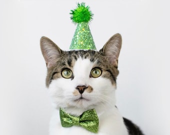 Pet Party Hat | Mini Cat Birthday Party Hat | Mini Cat Party Hat | Dog Birthday Hat | Dog Party Hat | The Pawty Animals | Lime Green